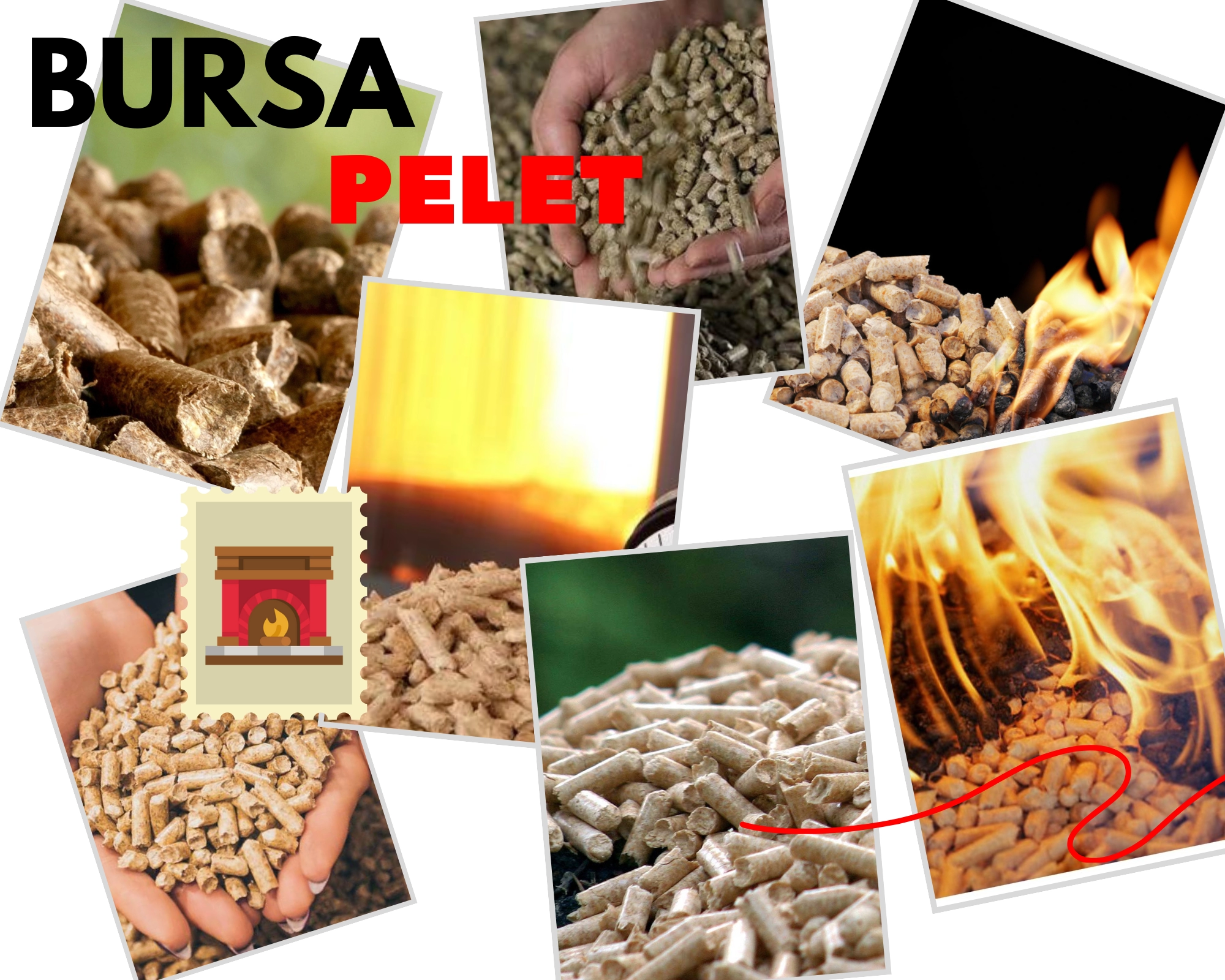 Pelet Nedir